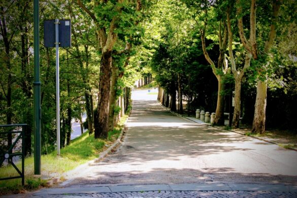 Tree-lined streets of Shamian Island