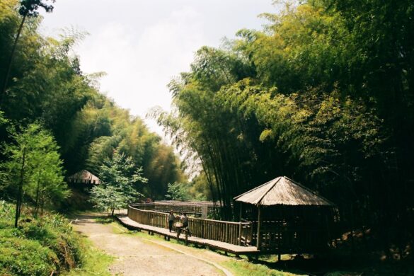 Park in Shamian Island