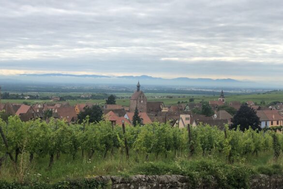 Wine tasting in Riquewihr, Alsace