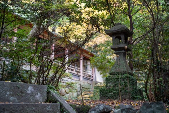 Beautiful garden at Kōshō-ji Temple.