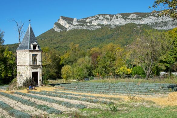 A local festival celebrating Provençal culture