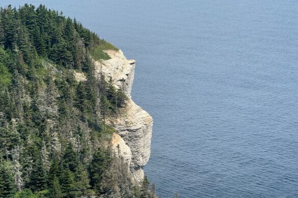 photo-1721694491796-4fd42086a5c0.jpg The dramatic cliffs along the Jurassic Coast in Dorset.