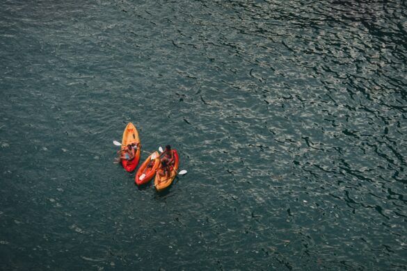 Kayaking in Abel Tasman National Park
