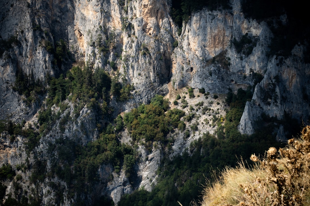 Stunning landscapes of Provence, France