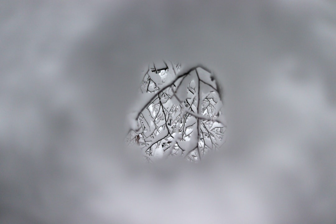 Explore the hidden gems of Canada in 2025