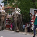 Elephant shows capturing the crowd's attention.