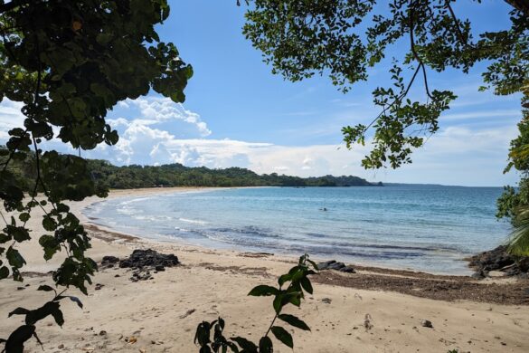 Manuel Antonio Beach with wildlife