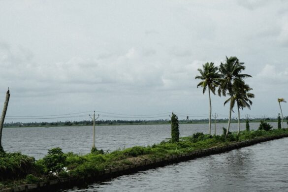 photo-1679311562700-5677ad2cc7cf.jpg Beautiful Kerala landscapes with backwaters
