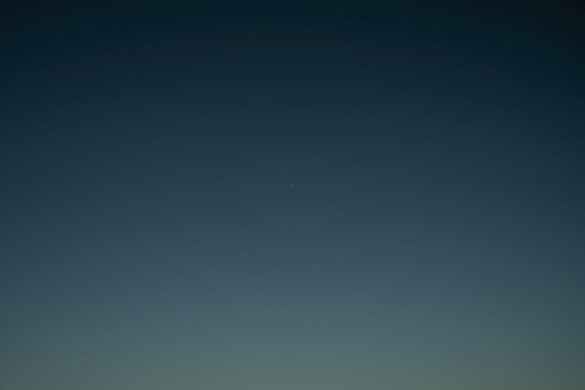 Performers at the Adelaide Festival.