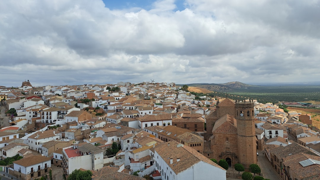 Aerial view of Seville city and its historic landmarks.