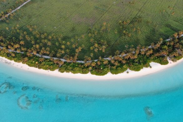 Team working on coral restoration project in Maldives.