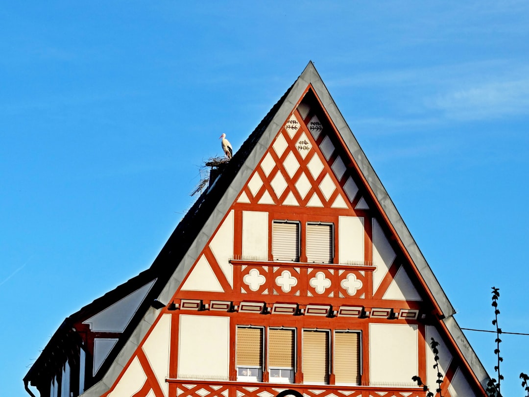 photo-1724434612243-05b460aeadc0.jpg Traditional foods of Alsace.