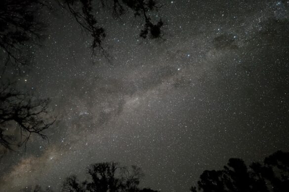Starry night in the Outback