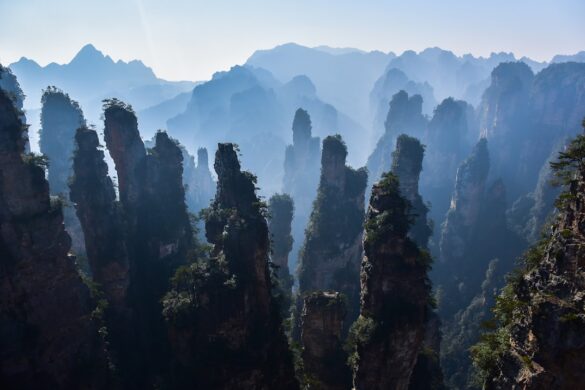 Scenic view of Zhangjiajie National Forest Park