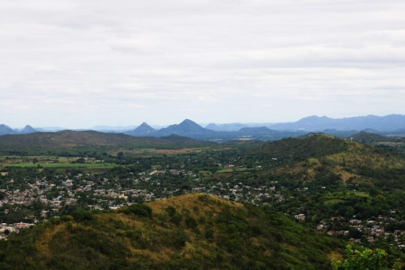 View from Mount Victoria Lookout in Wellington