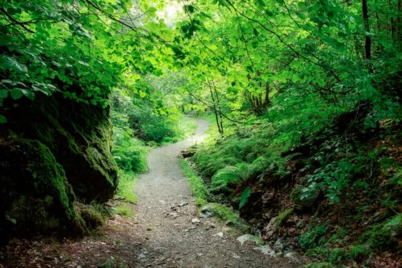 Hiking trails in Connemara