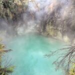 Thermal hot springs in Rotorua
