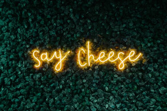 Cheese tasting event.