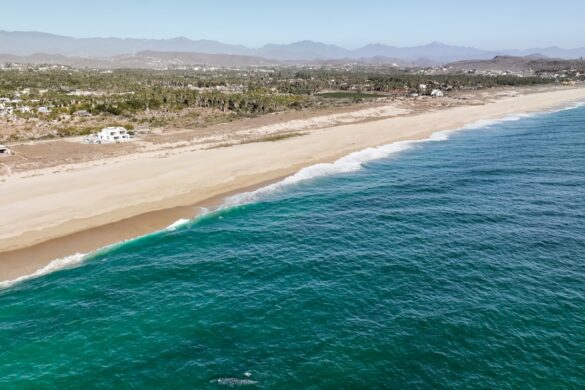 photo-1678210111406-4acf9b0df006.jpg Santa Barbara Mission and audience enjoying the beach