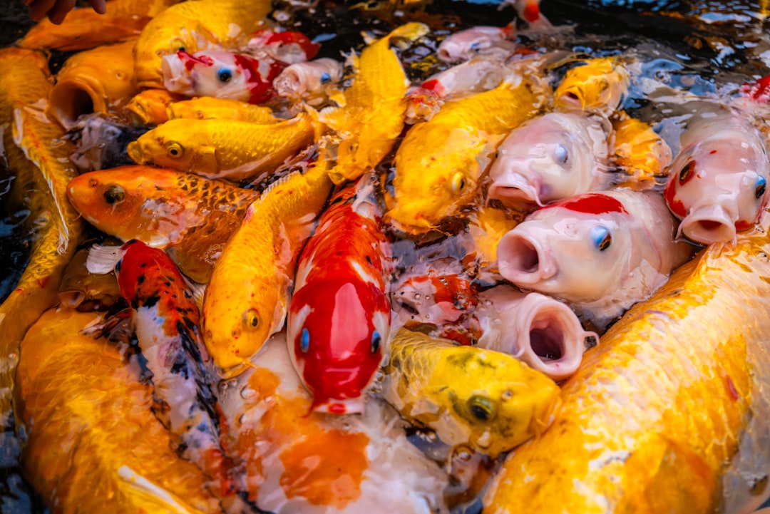 photo-1709692359614-e307990d2b1b.jpg Ratatouille with fresh ingredients