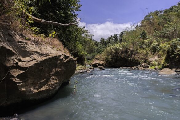 photo-1715492382371-c199723332a8.jpg White water rafting in Pacuare River