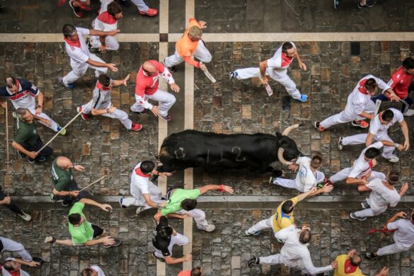 People running with bulls at San Fermín