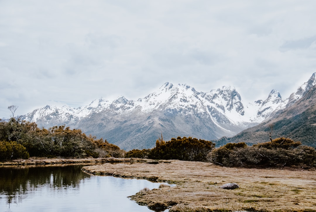 Stunning New Zealand wilderness landscape