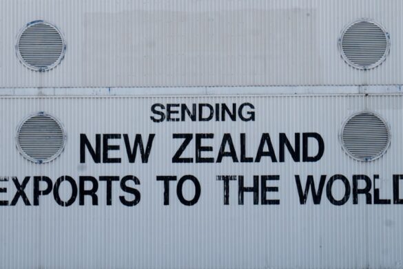 Iconic New Zealand meat pie