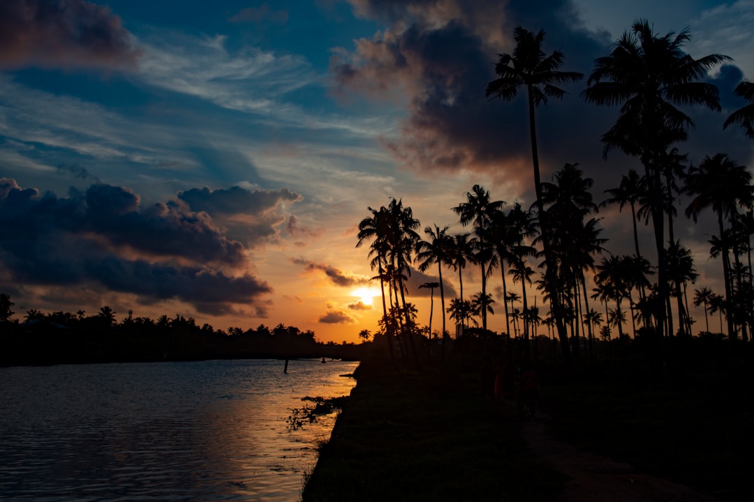 Tranquil view of Kerala's backwaters.
