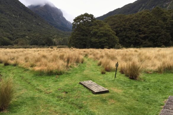 Gourmet cheese platter from New Zealand