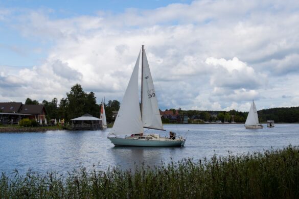 Sailing competition taking place at the festival
