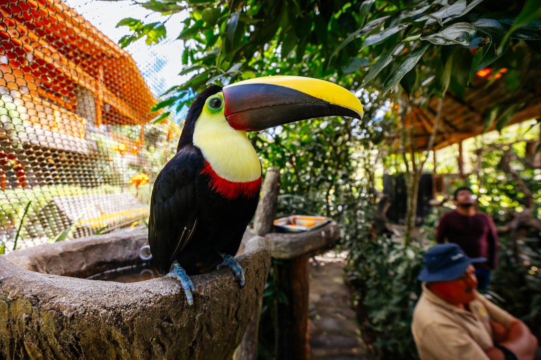 Exciting adventures in Costa Rica