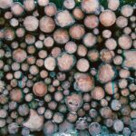 Freshly made homemade BeaverTails with toppings