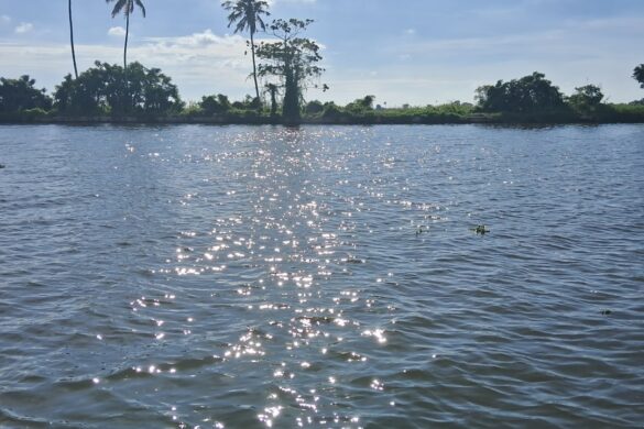 A kayak gliding through serene canals.