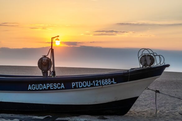 Delicious seafood platter from Portugal