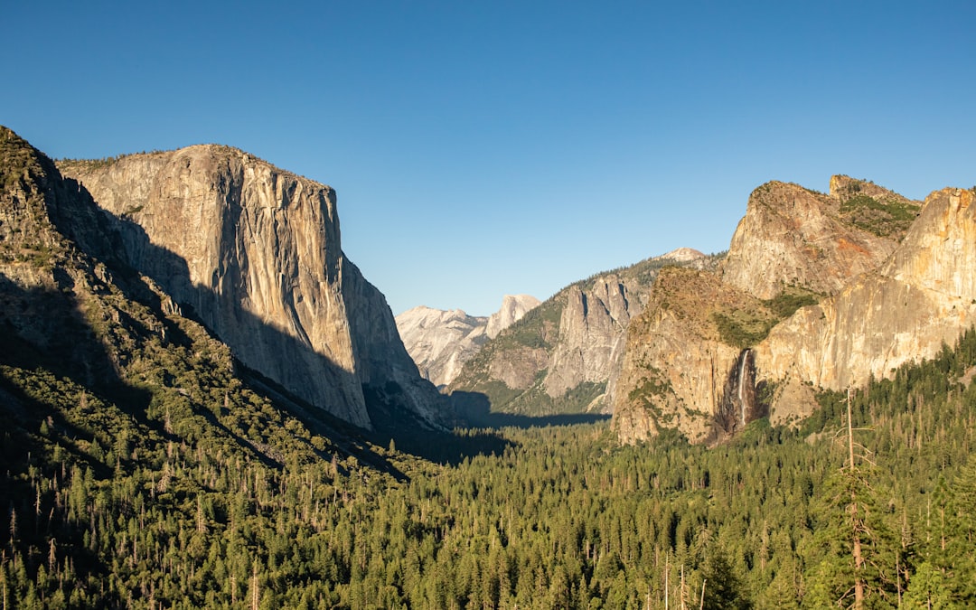 photo-1734884276998-444931c6d8bf.jpg El Capitan in Yosemite National Park