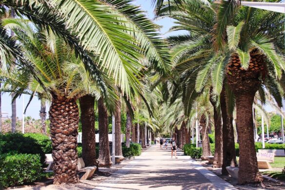 Beautiful street view in Valencia