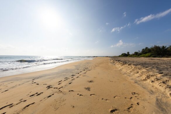 Untouched Casuarina Beach in Jaffna, Sri Lanka