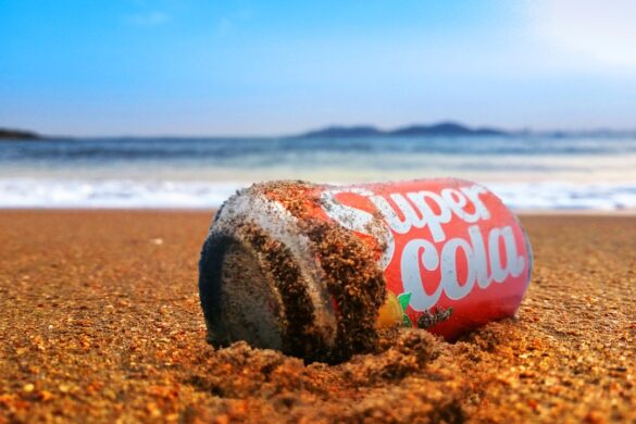 Surfing at Coke's break, Thulusdhoo