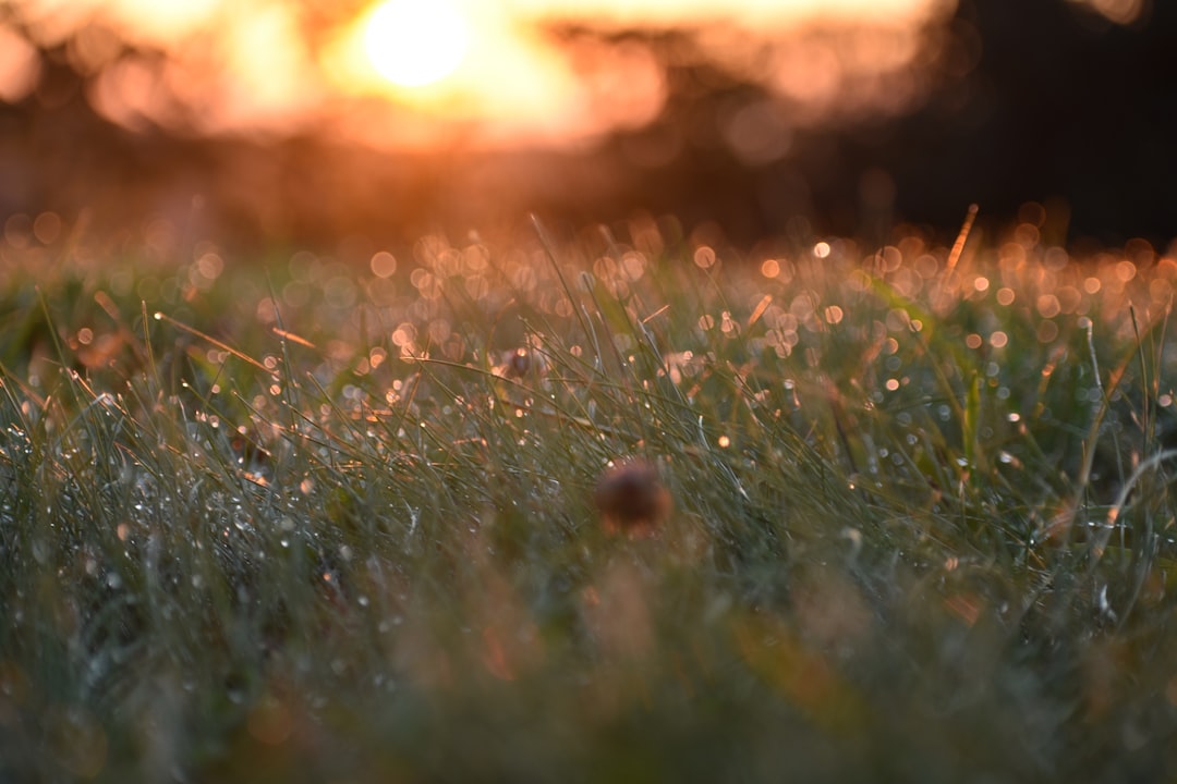 Beautiful view of Asheville skyline
