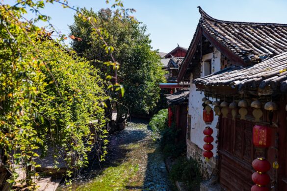Colorful autumn leaves in Lijiang.