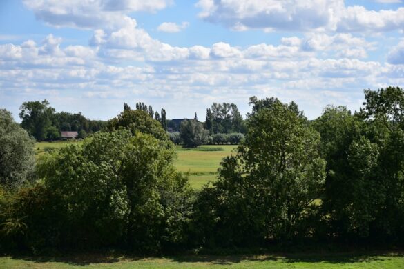 Serene lake in St. Stephen's Green in Dublin.
