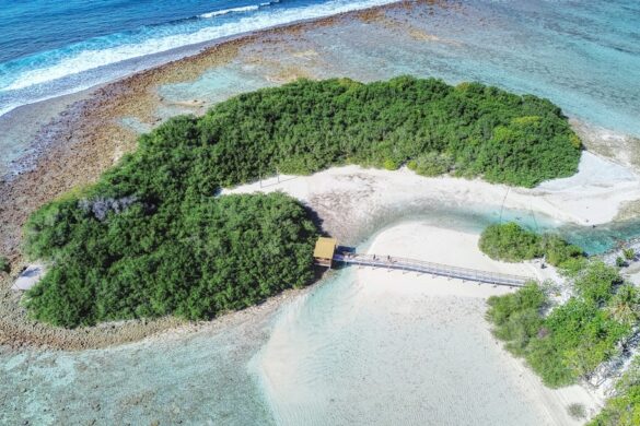Surfing in Thulusdhoo Island