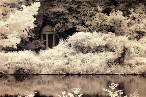 Beautiful architecture in the Garden District of New Orleans