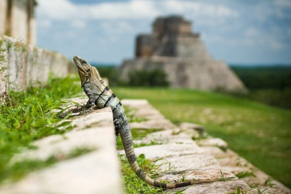 The Governor's Palace in Uxmal