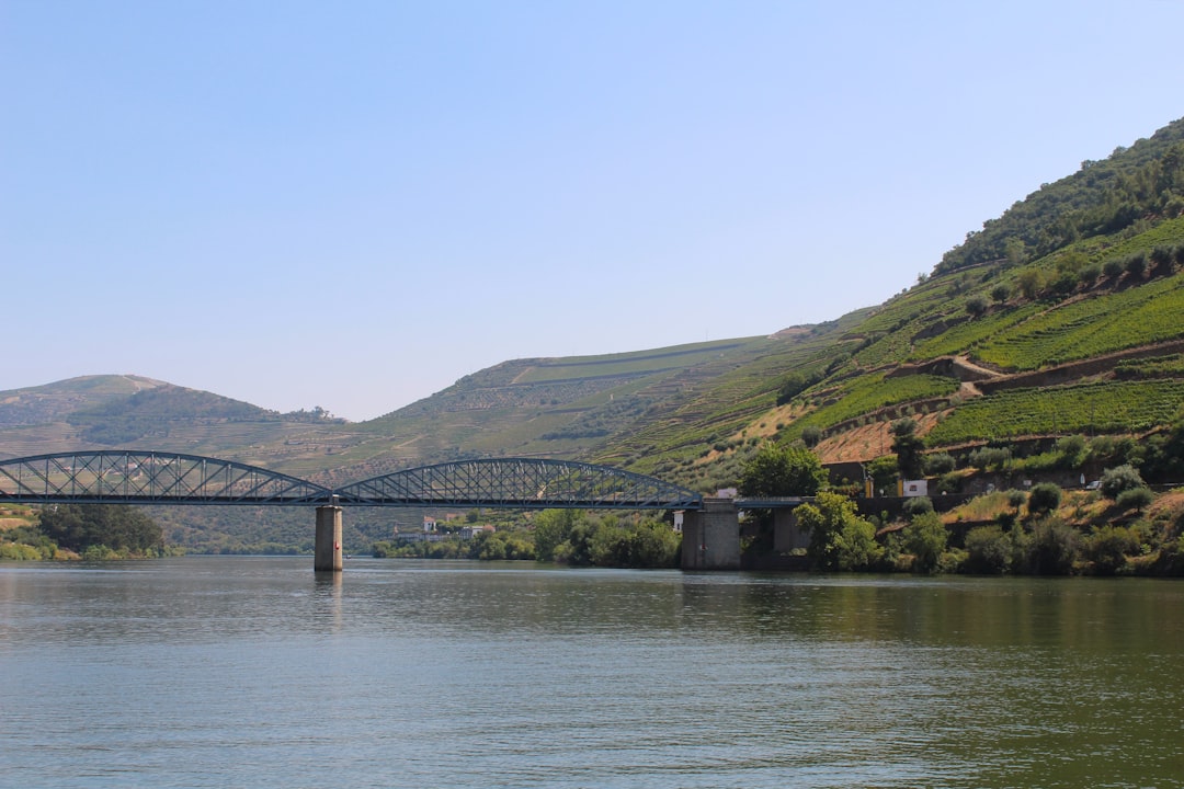 photo-1658232630608-8a9ec5dd3263.jpg Vineyards of Douro Valley with river