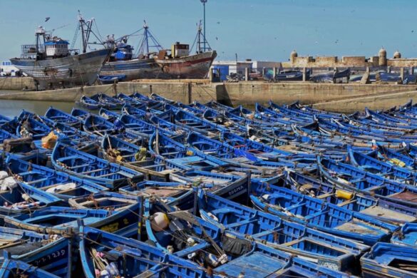 Fresh seafood market in Essaouira