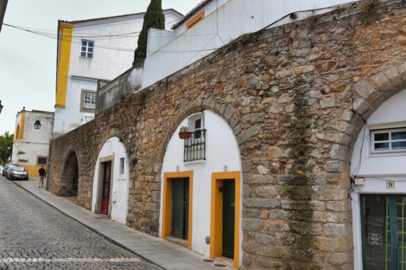 Participants wearing traditional costumes at festivals