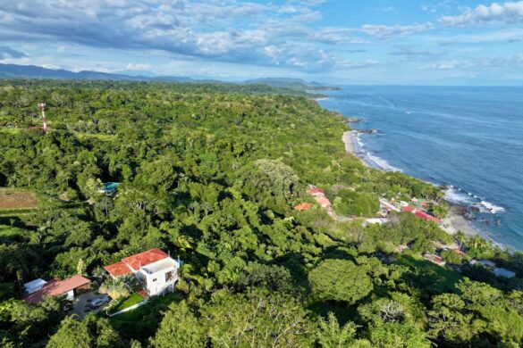 Exciting Festival of Palmares