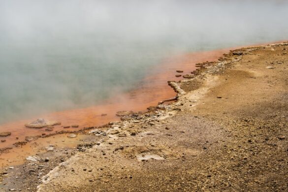 Rotorua geysers